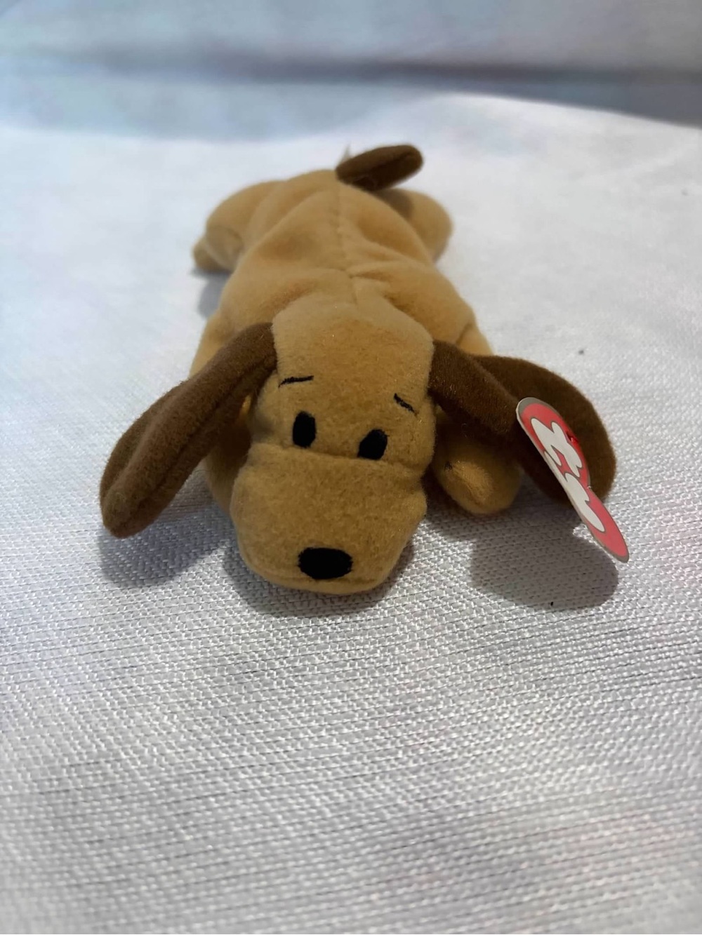 TY Teenie Beanie Babies Bones Dog Plush with Tag